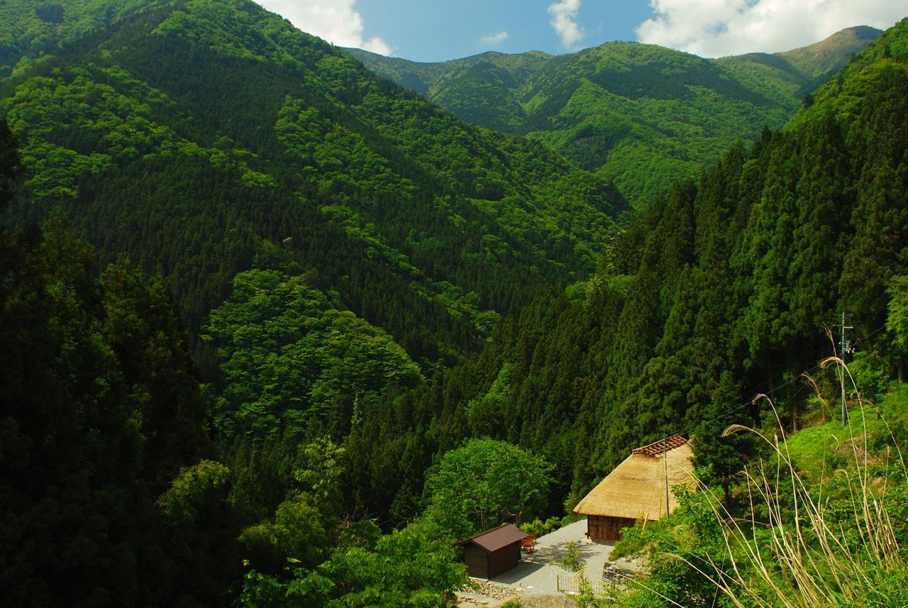 Tougenkyo Iya No Yamazato Villa Wakabayashi Dış mekan fotoğraf